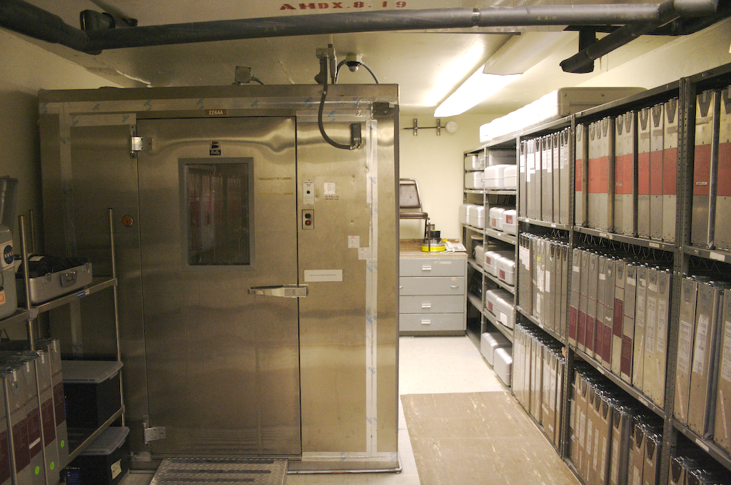 view inside refrigerator