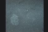 AS11-45-6710A