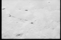AS17-159-23922