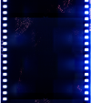 AS06-02-1073