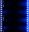AS06-02-1288