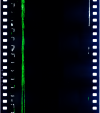 AS06-02-1292