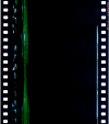 AS06-02-1294