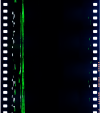 AS06-02-1295