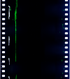 AS06-02-1298