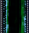 AS06-02-1301