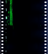 AS06-02-1316