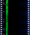 AS06-02-1317