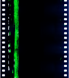AS06-02-1318