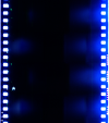 AS06-02-1339