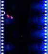 AS06-02-1381