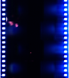 AS06-02-1382