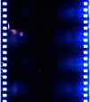 AS06-02-1383