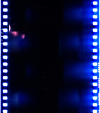 AS06-02-1384