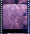 AS06-02-1418