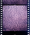 AS06-02-1424