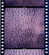 AS06-02-1425