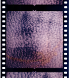 AS06-02-1427