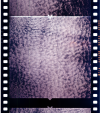 AS06-02-1428