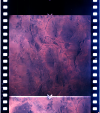 AS06-02-1439