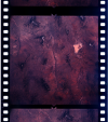 AS06-02-1442