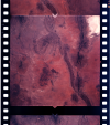 AS06-02-1447