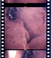 AS06-02-1450