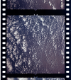 AS06-02-1489