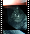 AS07-03-1553