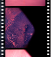 AS07-05-1621