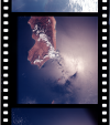 AS07-07-1779