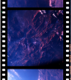 AS07-07-1829