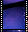 AS07-07-1855