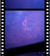 AS07-07-1856