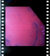 AS07-11-1989