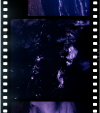 AS07-11-2004