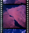 AS07-11-2008