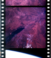 AS07-11-2011