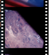 AS07-11-2028