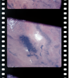 AS07-11-2029
