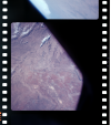 AS07-11-2032
