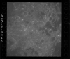 AS08-12-2206