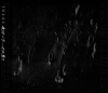 AS08-13-2287