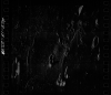 AS08-13-2288