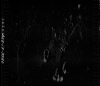 AS08-13-2290