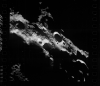 AS08-13-2312