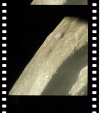 AS08-14-2447