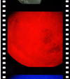AS08-14-2472