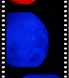 AS08-14-2481