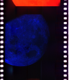 AS08-14-2485b